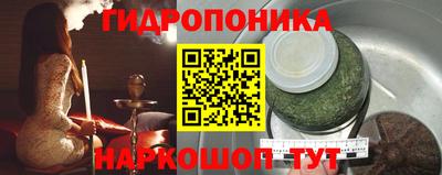 spice Кандалакша