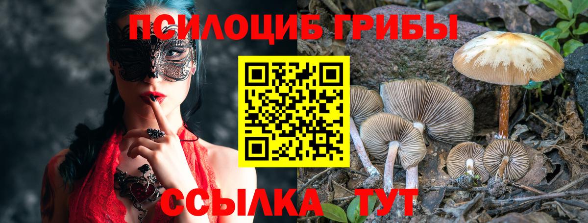 Кыштым  Галлюциногенные грибы прущие грибы  Галлюциногенные грибы мухоморы  Вход с VPN 