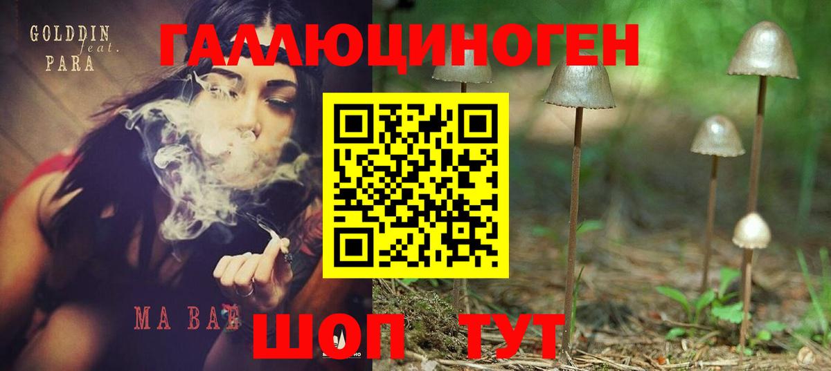 Галлюциногенные грибы прущие грибы Кыштым